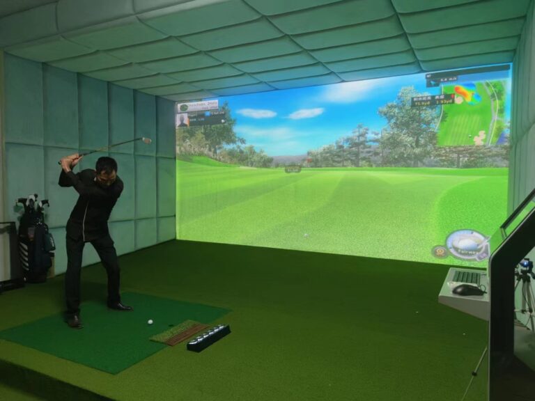 options for golf simulators